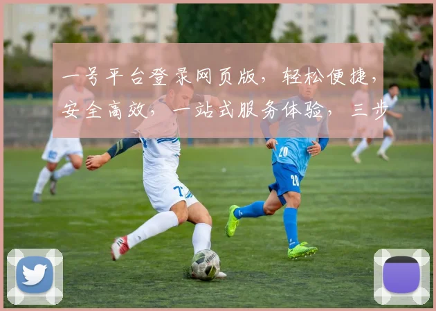 一号平台登录网页版，轻松便捷，安全高效，一站式服务体验，三步快速登录，畅享无忧