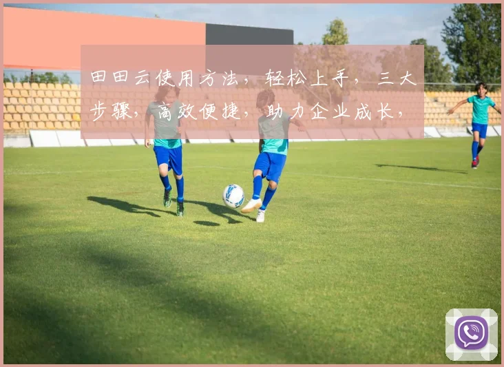田田云使用方法，轻松上手，三大步骤，高效便捷，助力企业成长，三步实现数字化管理。