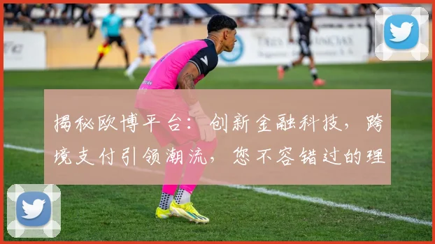 揭秘欧博平台：创新金融科技，跨境支付引领潮流，您不容错过的理财新选择
